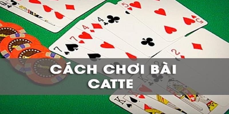 Cách Nhớ Bài Catte Hay Và Hiệu Quả Từ Các Chuyên Gia